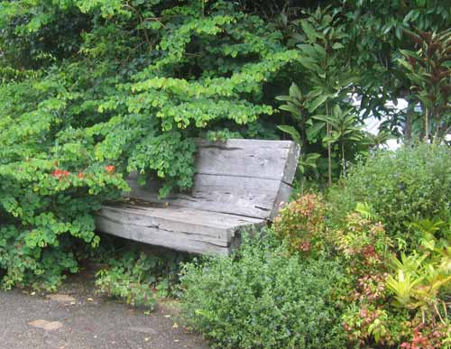 Garden Seat at Lake Barrine